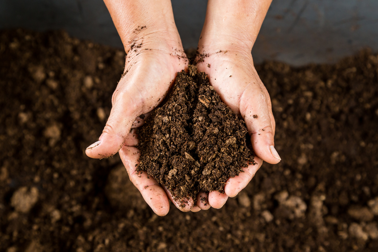 Soil-in-hands.jpg