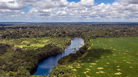 12524_flona_tapajs_par_brasil_by_marizilda_cruppe__rede_amaznia_sustantvel_6__50404922503_932713_crop.jpg