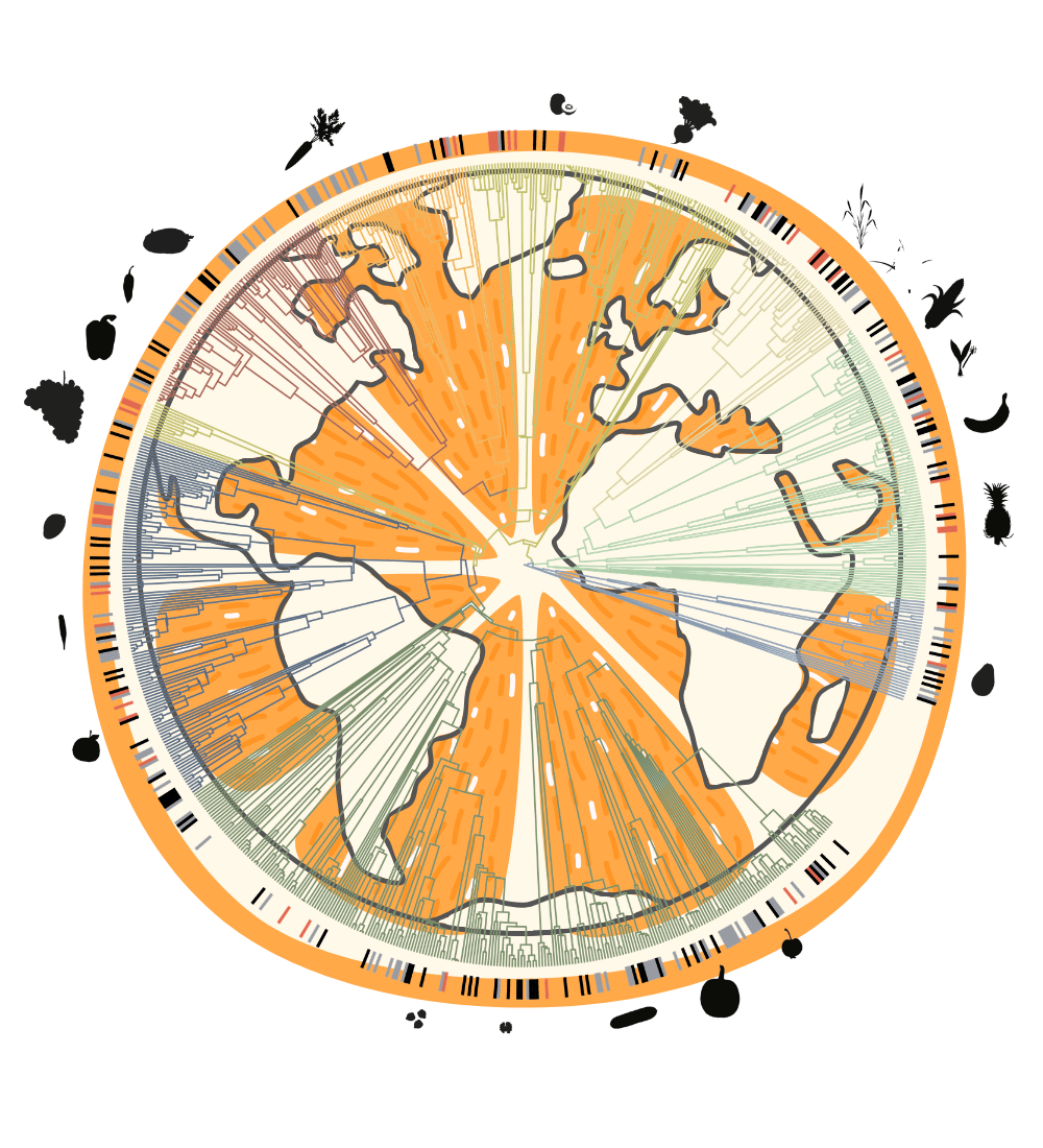 Orange+Atlas+with+phylogenetic+overlay.png